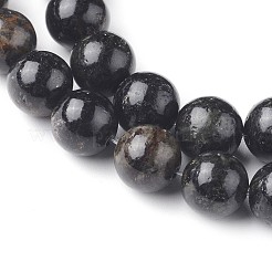 Natural Biotite Beads Strands&nbsp;G-L528-06C