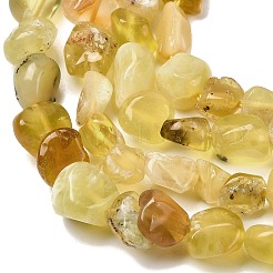 Natural Yellow Opal Beads Strands&nbsp;G-P601-A02-02