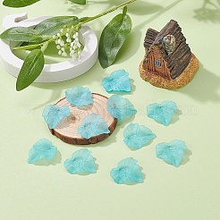 Autumn Theme Transparent Frosted Acrylic Pendants&nbsp;X-PAF002Y-27