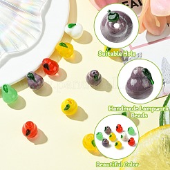 12Pcs 6 Colors Handmade Lampwork Beads&nbsp;LAMP-CJ0002-13