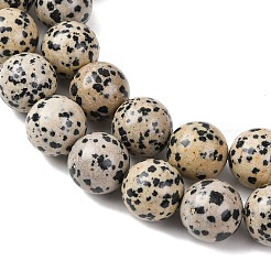 Natural Dalmatian Jasper Beads Strands&nbsp;G-A310-A05-14mm