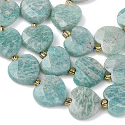 Natural Amazonite Beads Strands&nbsp;G-L654-M01-01