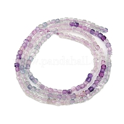 Natural Fluorite Beads Strands&nbsp;G-P457-B01-55