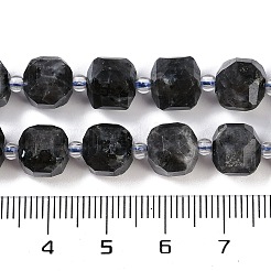 Natural Larvikite Beads Strands&nbsp;G-B125-O05-01