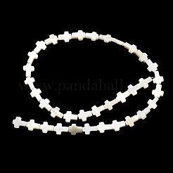 Natural Freshwater Shell Beads Strands&nbsp;BSHE-G034-26