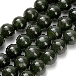 Natural Canadian Jade Beads Strands&nbsp;G-H335-B07-10mm