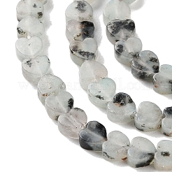 Natural Sesame Jasper Beads Strands&nbsp;G-M403-A40-01