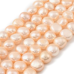 Natural Cultured Freshwater Pearl Beads Strands&nbsp;PEAR-P064-19I-01A