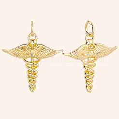 12Pcs Brass Pendants&nbsp;KK-BBC0019-76
