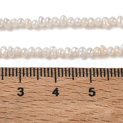 Natural Cultured Freshwater Pearl Beads Strands&nbsp;PA-CBAC463-32