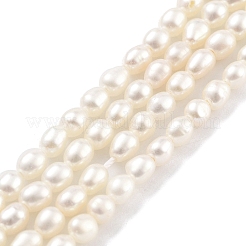 Natural Cultured Freshwater Pearl Beads Strands&nbsp;PEAR-P062-03C