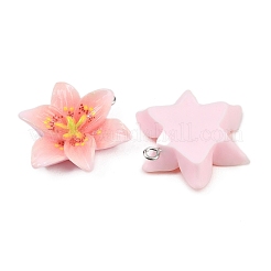 Opaque Resin Pendants&nbsp;CRES-D328-04E