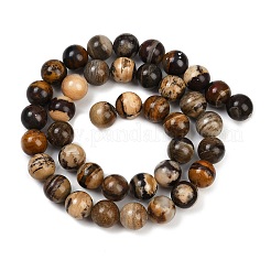 Natural Zebra Jasper Beads Strands&nbsp;G-F792-C13-01