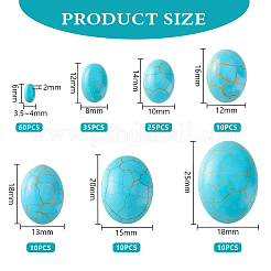 160Pcs 7 Sizes Synthetic Turquoise Cabochons&nbsp;G-PH0002-69A