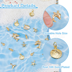 Marine Organism Theme 21Pcs 7 Styles Brass Charms&nbsp;KK-HS0015-53