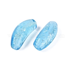 Handmade Lampwork Beads Strands&nbsp;LAMP-N038-06B