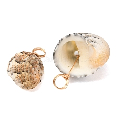 Natural Shell Pendants&nbsp;PALLOY-JF02953