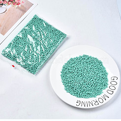6/0 Glass Seed Beads&nbsp;SEED-S058-A-F439