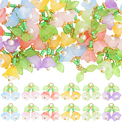 30Pcs 6 Colors Transparent Glass Pendants&nbsp;FIND-SC0019-73
