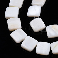 Natural Freshwater Shell Beads Strands&nbsp;SHEL-N026-209