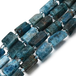 Natural Apatite Beads Strands&nbsp;GG-CBA8682-A06