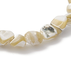 Natural Trochus Shell Beads Stretch Bracelets for Men Women&nbsp;BJEW-JB11685