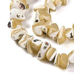 Natural Trochus Shell Beads Strands&nbsp;BSHE-S304-04