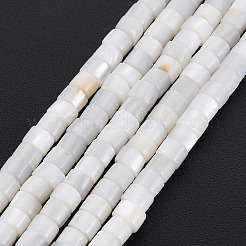 Natural Freshwater Shell Beads Strands&nbsp;X-SHEL-N027-09