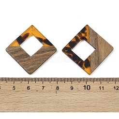 Transparwnt Resin & Walnut Wood Pendants&nbsp;RESI-I354-03H