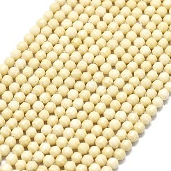 Natural Fossil Beads Strands&nbsp;G-A260-A35-01