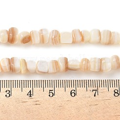 Natural White Shell Beads Strands&nbsp;SSHEL-F304-02B