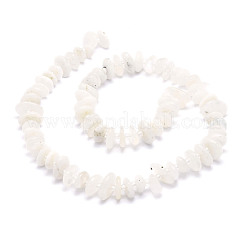 Natural Rainbow Moonstone Beads Strands&nbsp;G-E569-J15