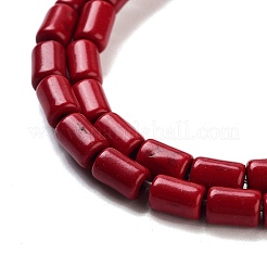 Synthetic Turquoise Beads Strands&nbsp;X-TURQ-G120-4x6mm-07