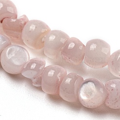 Natural White Shell Dyed Beads Strands&nbsp;BSHE-Z005-03D