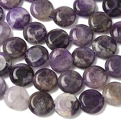 Natural Amethyst Beads Strands&nbsp;G-L648-B25-15mm