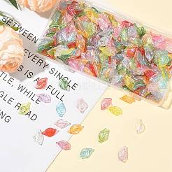 400Pcs Transparent Acrylic Pendants&nbsp;MACR-FS0002-31