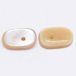 Dyed Natural Freshwater Shell Chips Beads&nbsp;SHEL-A003-D02