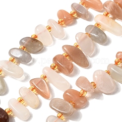 Natural Moonstone Beads Strands&nbsp;G-Z091-A14