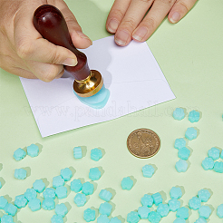 200Pcs Paw Print Sealing Wax Particles&nbsp;DIY-CP0009-32