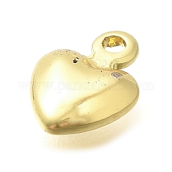 Rack Plating Brass Pendants&nbsp;KK-M309-12G-01