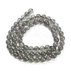 Natural Black Moonstone Beads Strands&nbsp;G-L631-A05-6mm