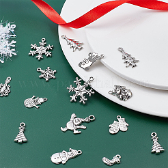 120Pcs 12 Style Tibetan Style Alloy Pendants&nbsp;TIBE-SC0001-64