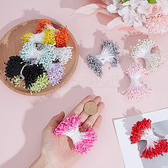 12 Bags 12 Colors Gypsum Flower Core&nbsp;DIY-GF0014-63