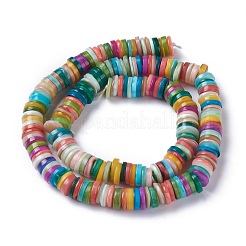 Natural Freshwater Shell Beads Strands&nbsp;BSHE-I016-04F