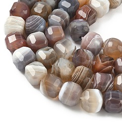 Natural Botswana Agate Beads Strands&nbsp;G-C267-A07