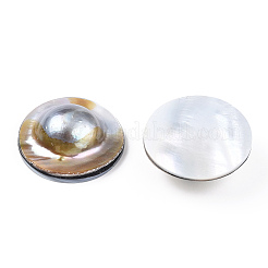 Natural Shell Cabochons&nbsp;PEAR-N020-Q02