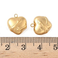 304 Stainless Steel Charms&nbsp;STAS-P404-11G