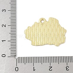 Independence Day Alloy Enamel Pandants&nbsp;FIND-M083-05J-G
