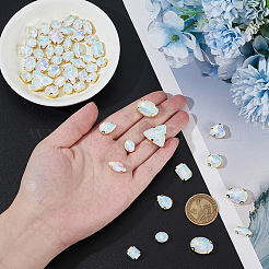 Iron & Glass Sew On Rhinestone&nbsp;GLAA-WH0036-51B
