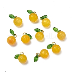 Dyed Natural Agate Orange Charms&nbsp;X-G-U025-07G